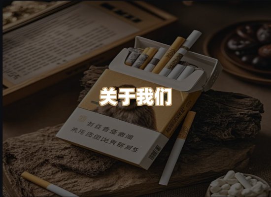 关于蓝帝网